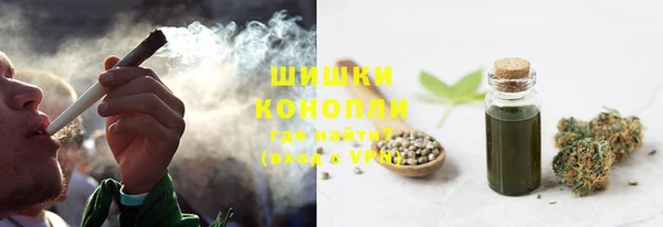 ПСИЛОЦИБИНОВЫЕ ГРИБЫ Абаза