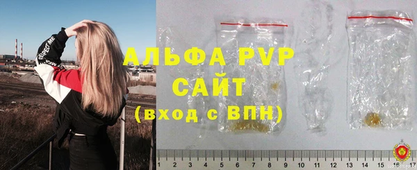 ПСИЛОЦИБИНОВЫЕ ГРИБЫ Абаза