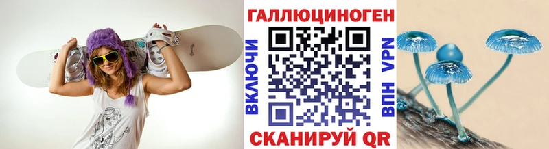 купить наркотики сайты Вологда Галлюциногенные грибы Psilocybe