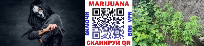 Шишки марихуана план  магазин  наркотиков  Вологда 
